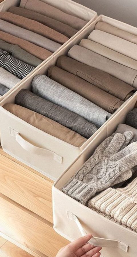 Organizer